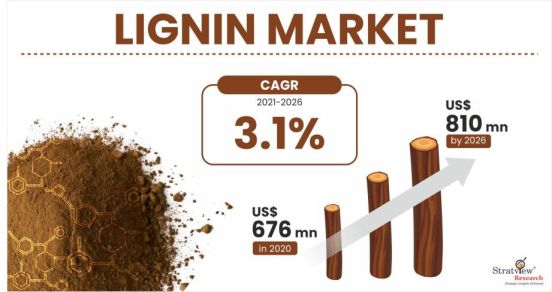 Lignin-Market-Insights